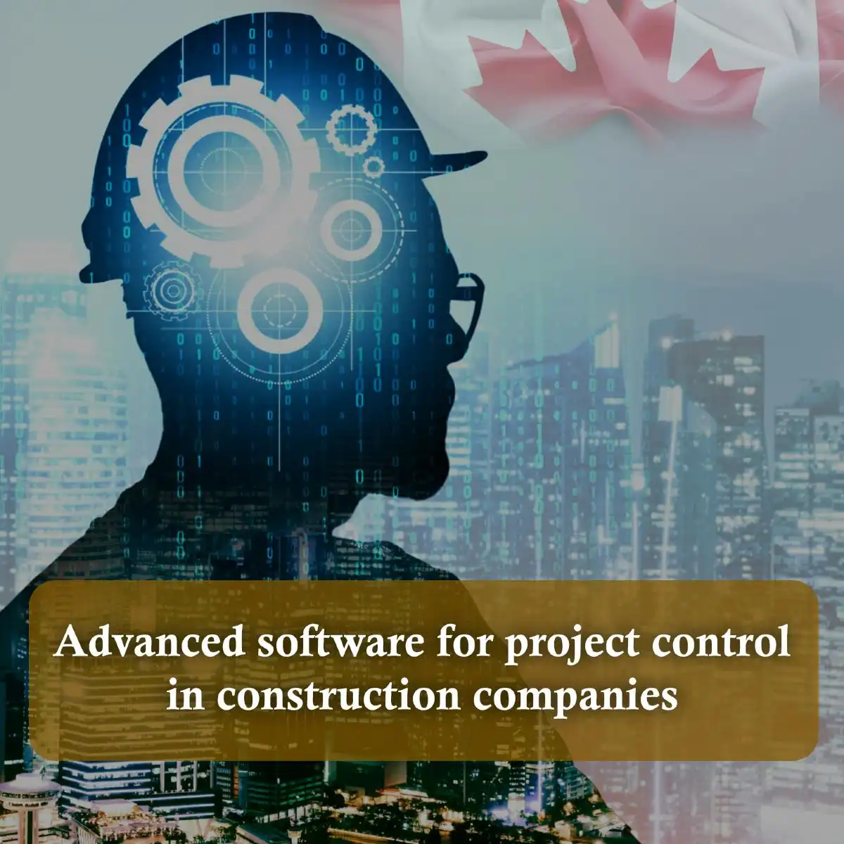 Advanced software for project control in construction companies