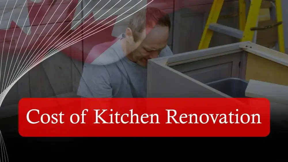 Cost of kitchen renovation