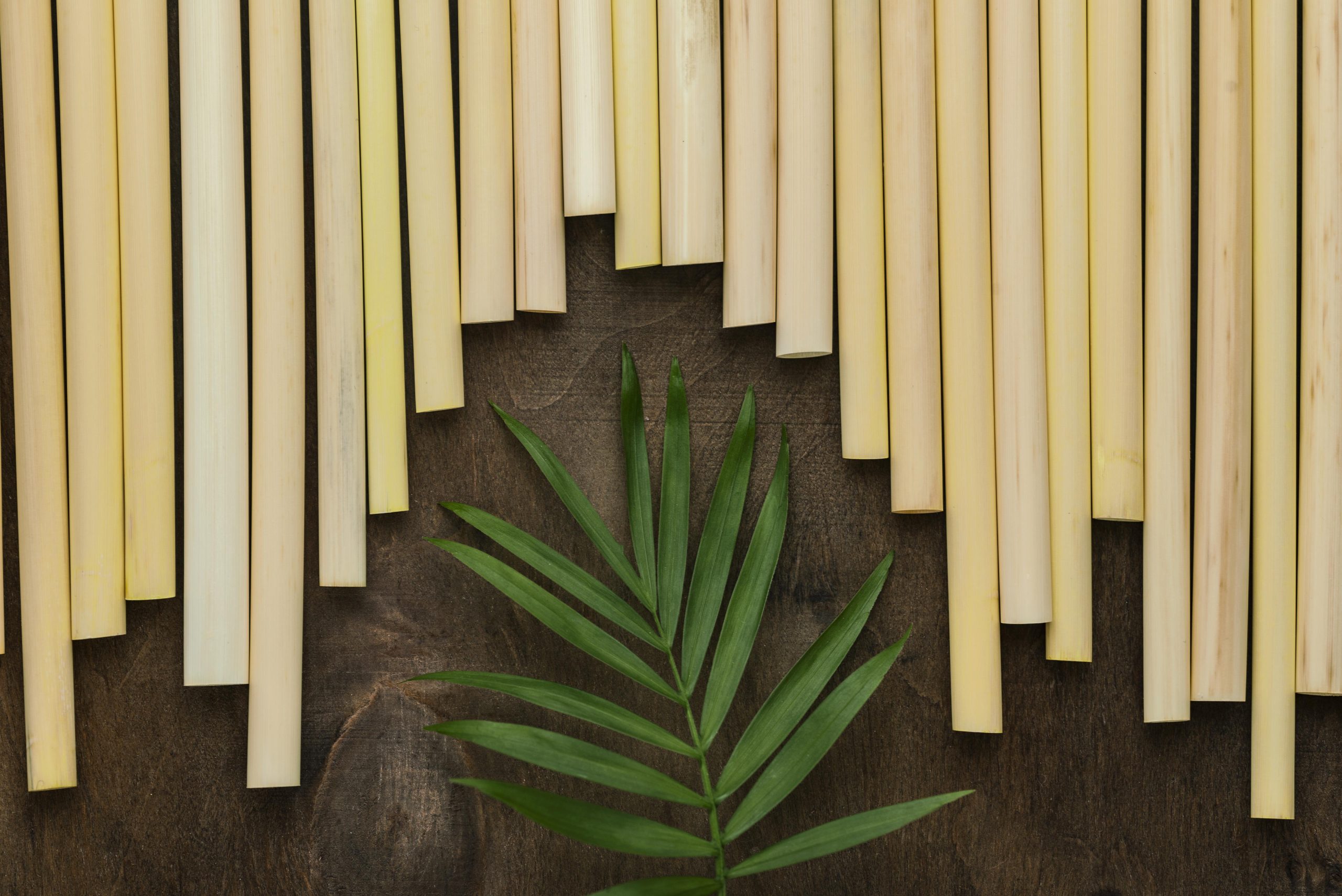 eco-friendly-environment-bamboo-tube-straws-background